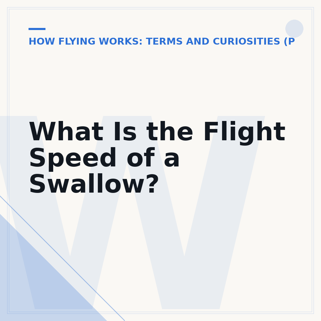 What Is the Flight Speed of a Swallow?