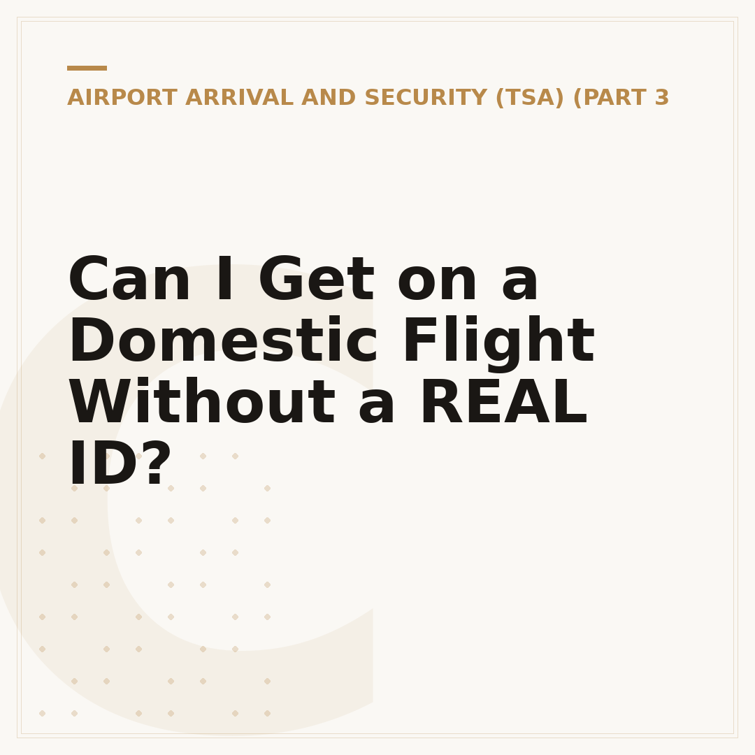 Can I Get on a Domestic Flight Without a REAL ID?
