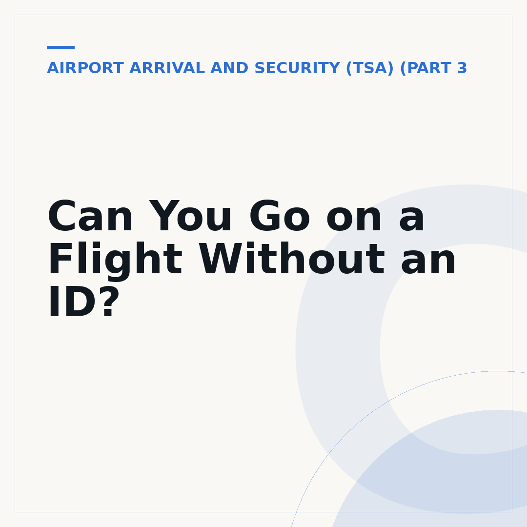Can You Go on a Flight Without an ID?