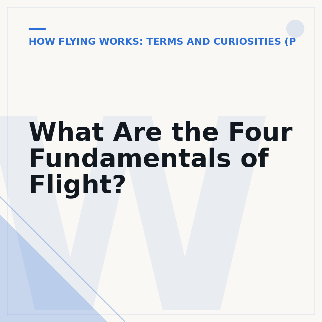 What Are the Four Fundamentals of Flight?