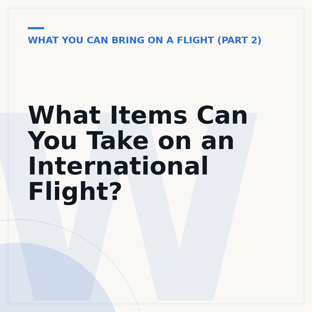 What Items Can You Take on an International Flight?