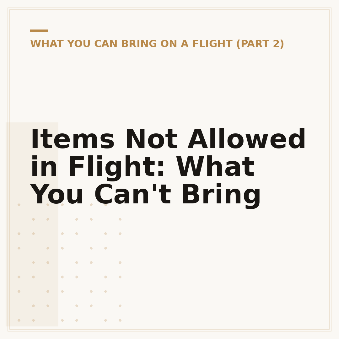 Items Not Allowed in Flight: What You Can't Bring
