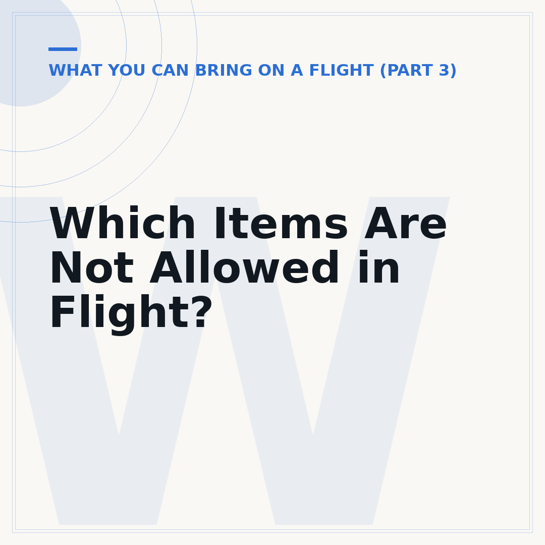 Which Items Are Not Allowed in Flight?