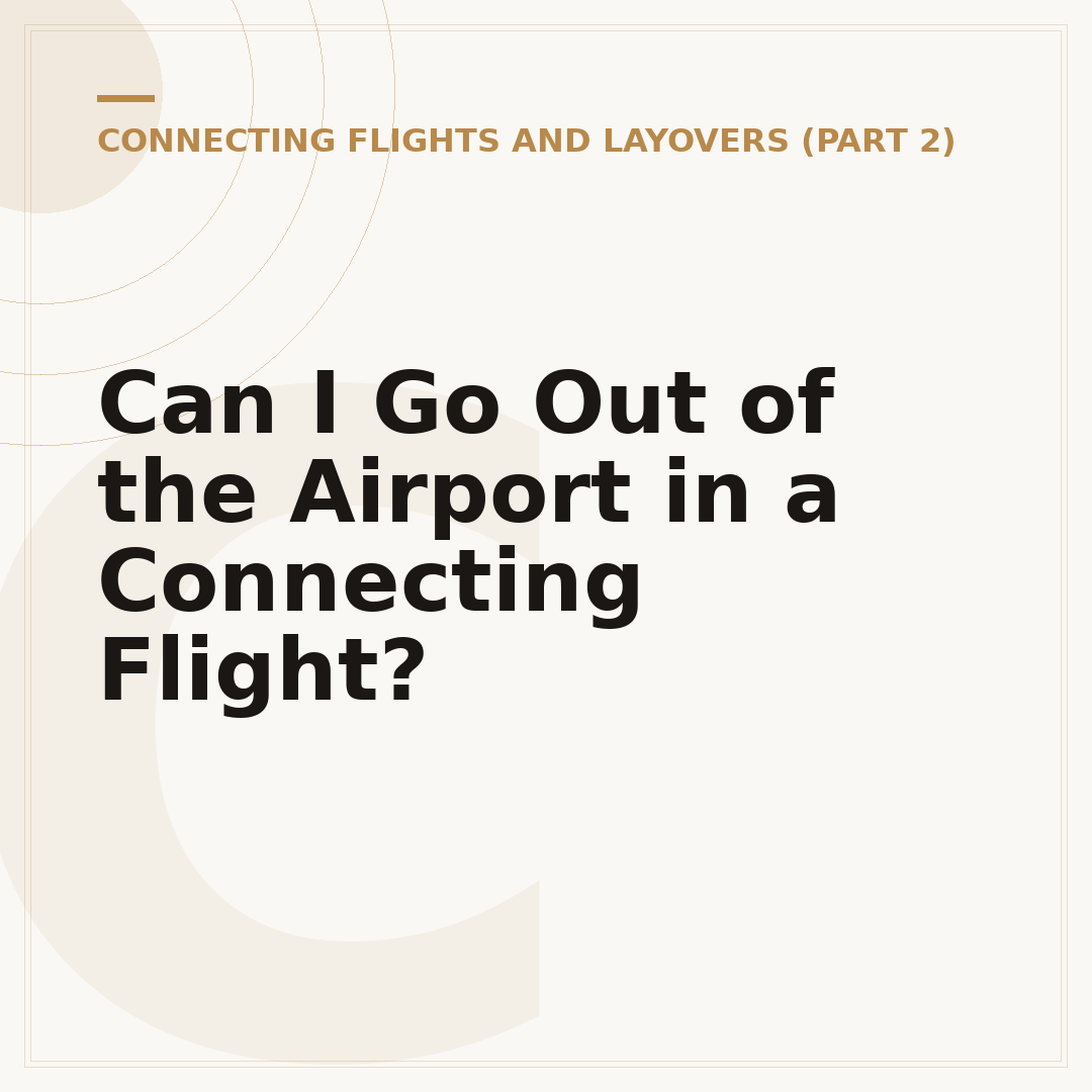 Can I Go Out of the Airport in a Connecting Flight?