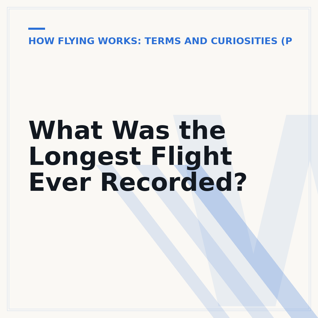 What Was the Longest Flight Ever Recorded?
