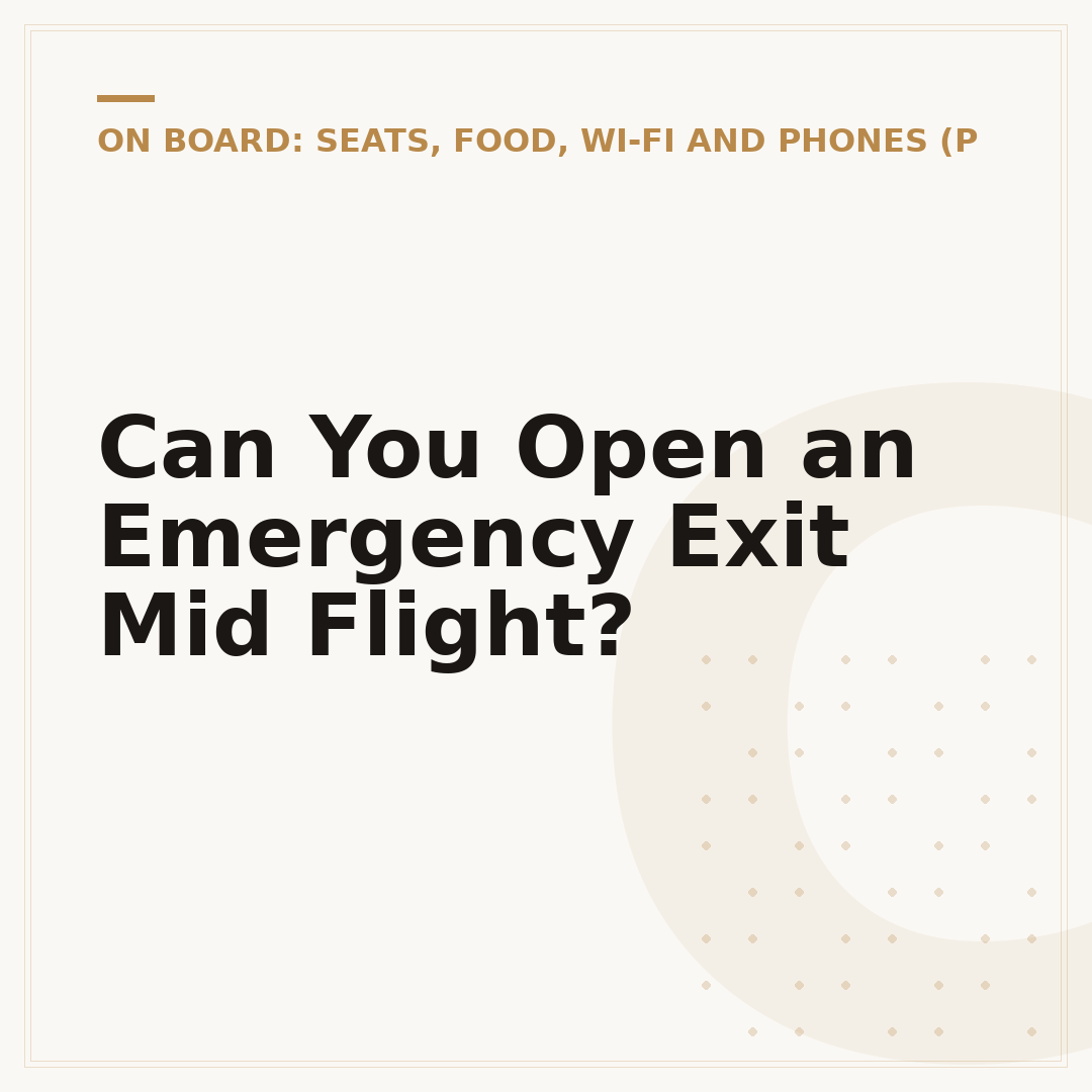Can You Open an Emergency Exit Mid Flight?