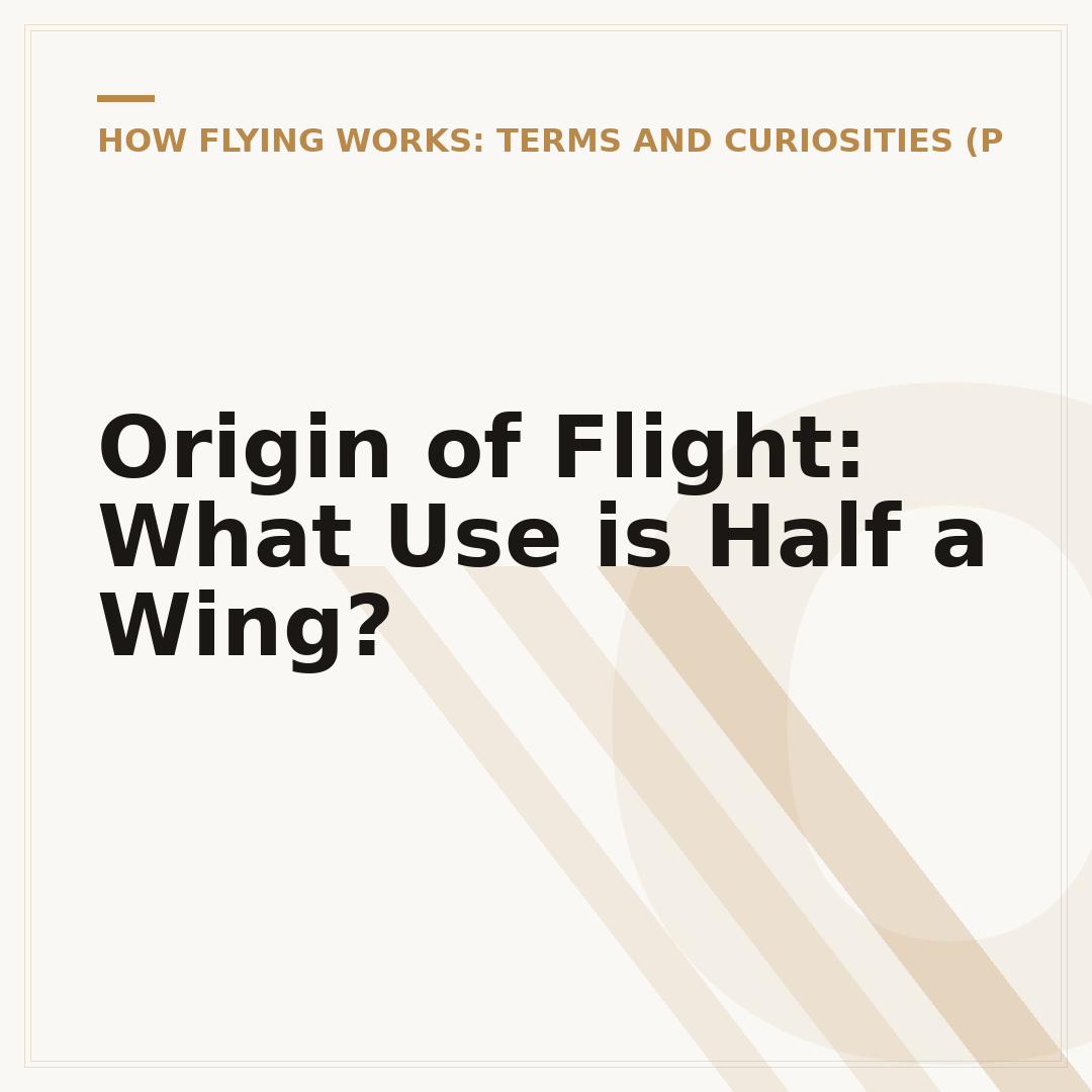 Origin of Flight: What Use is Half a Wing?