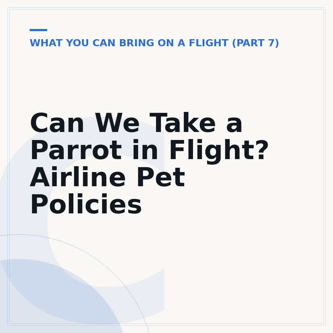Can We Take a Parrot in Flight? Airline Pet Policies