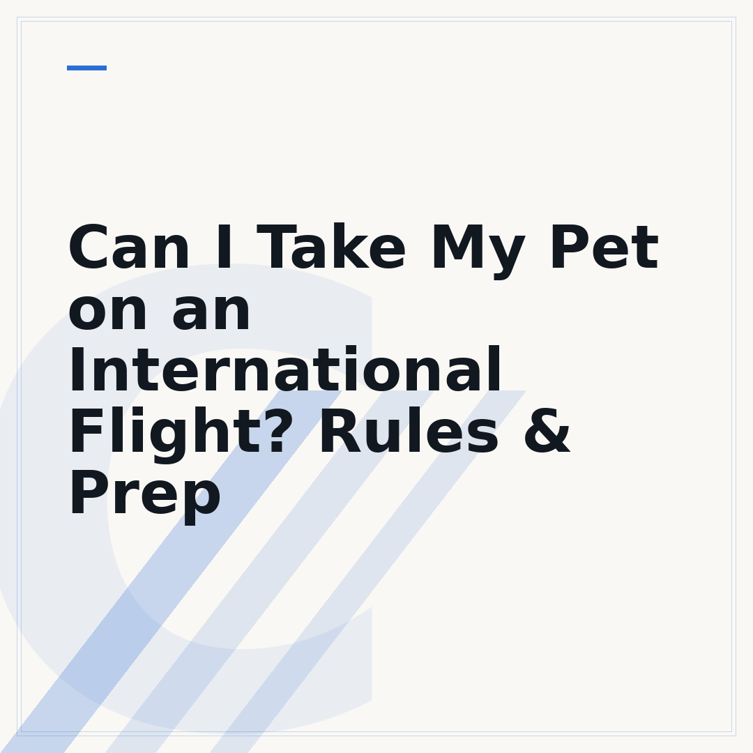 Can I Take My Pet on an International Flight? Rules & Prep