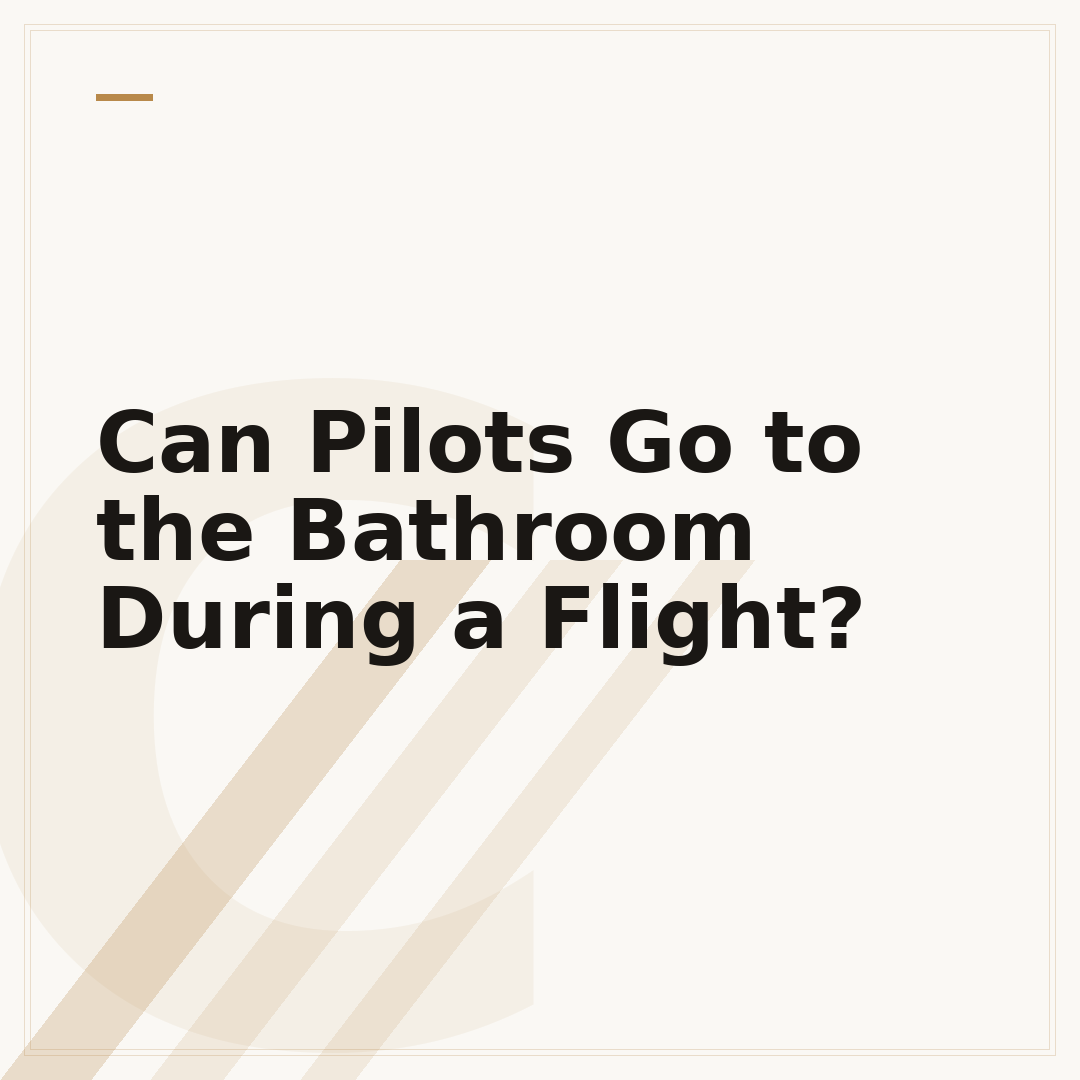 Can Pilots Go to the Bathroom During a Flight?