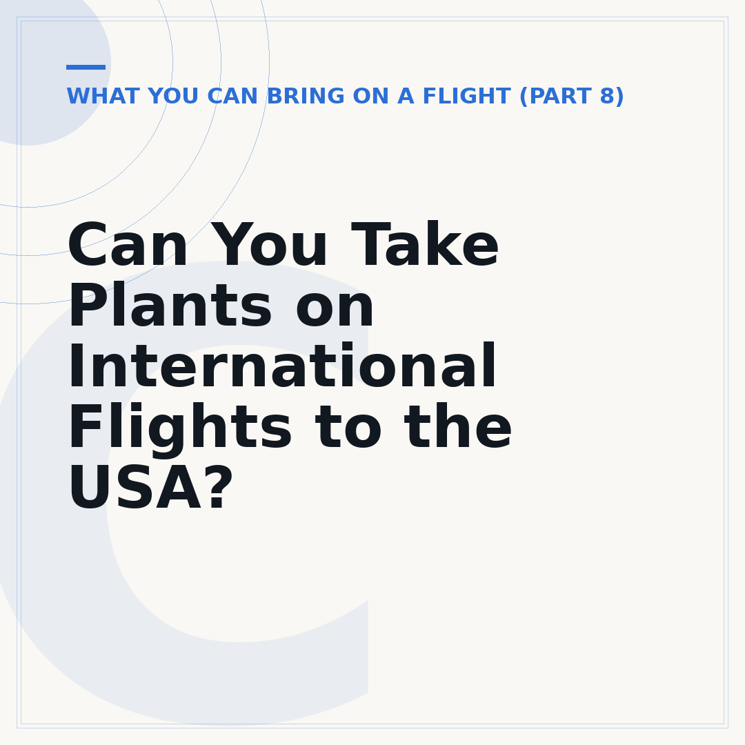 Can You Take Plants on International Flights to the USA?
