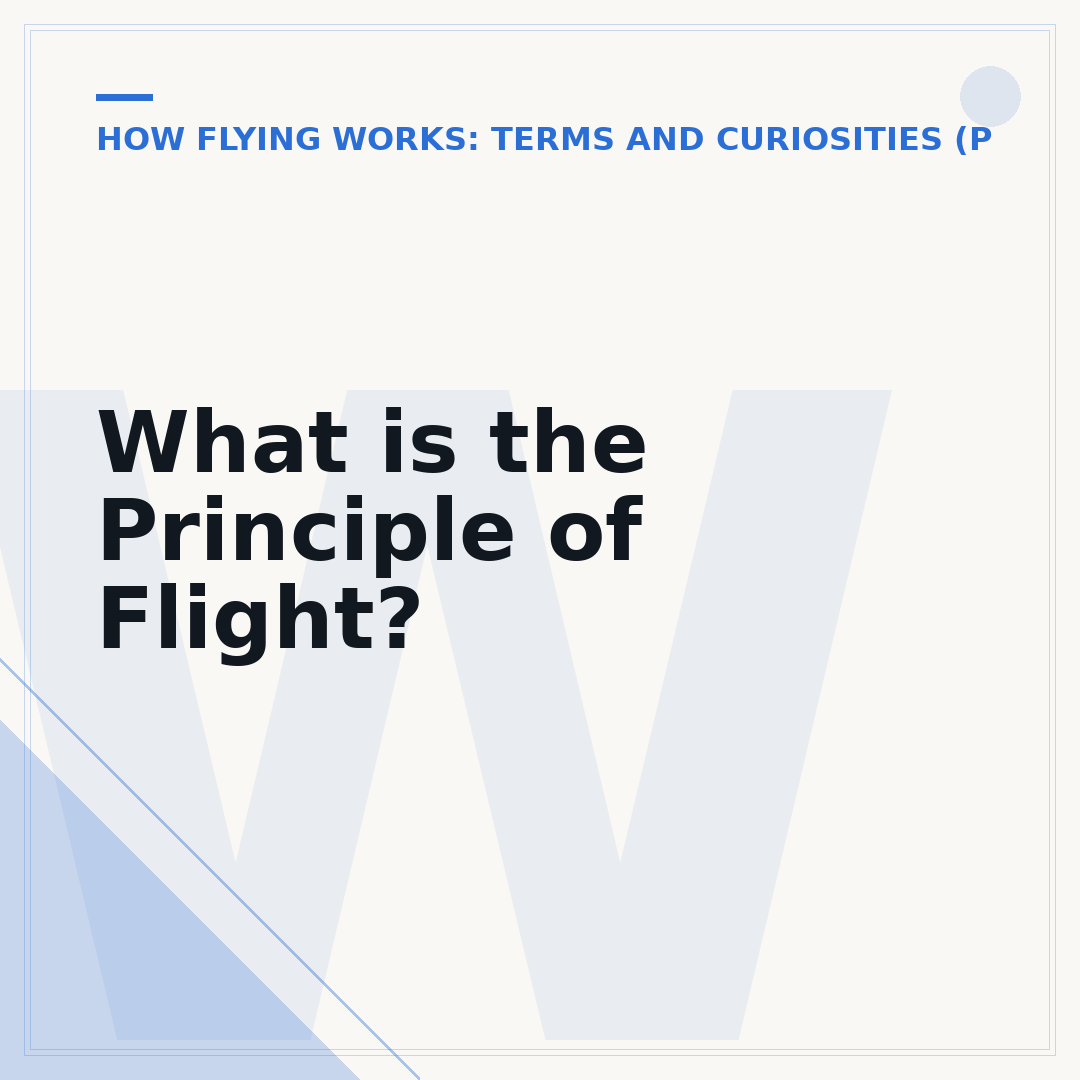 What is the Principle of Flight?