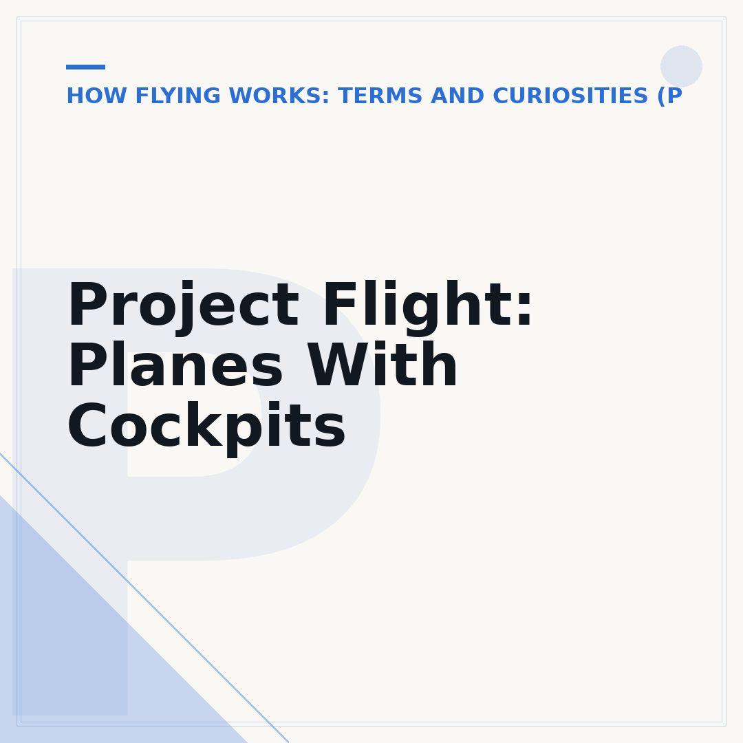 Project Flight: Planes With Cockpits