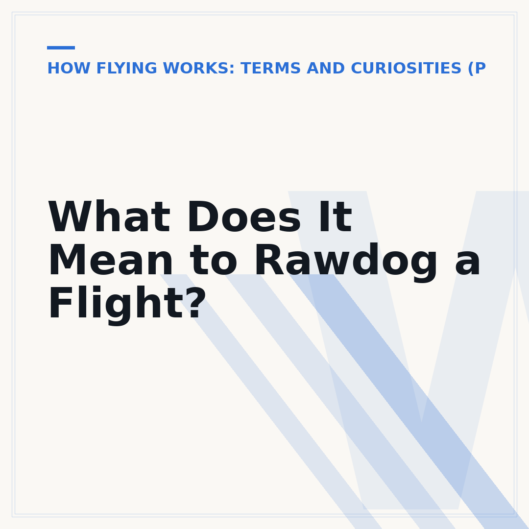 What Does It Mean to Rawdog a Flight?