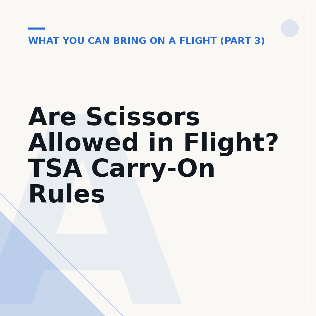 Are Scissors Allowed in Flight? TSA Carry-On Rules