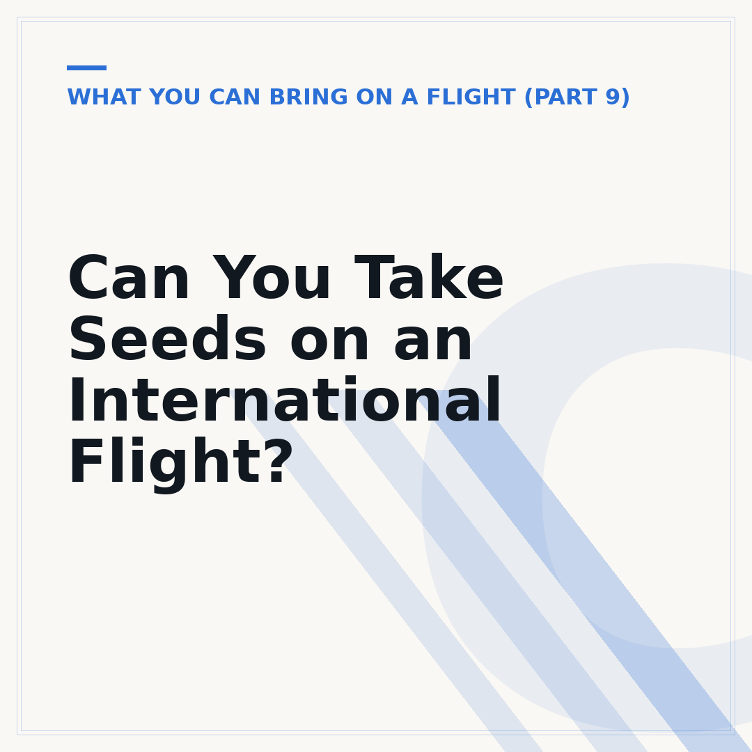 Can You Take Seeds on an International Flight?