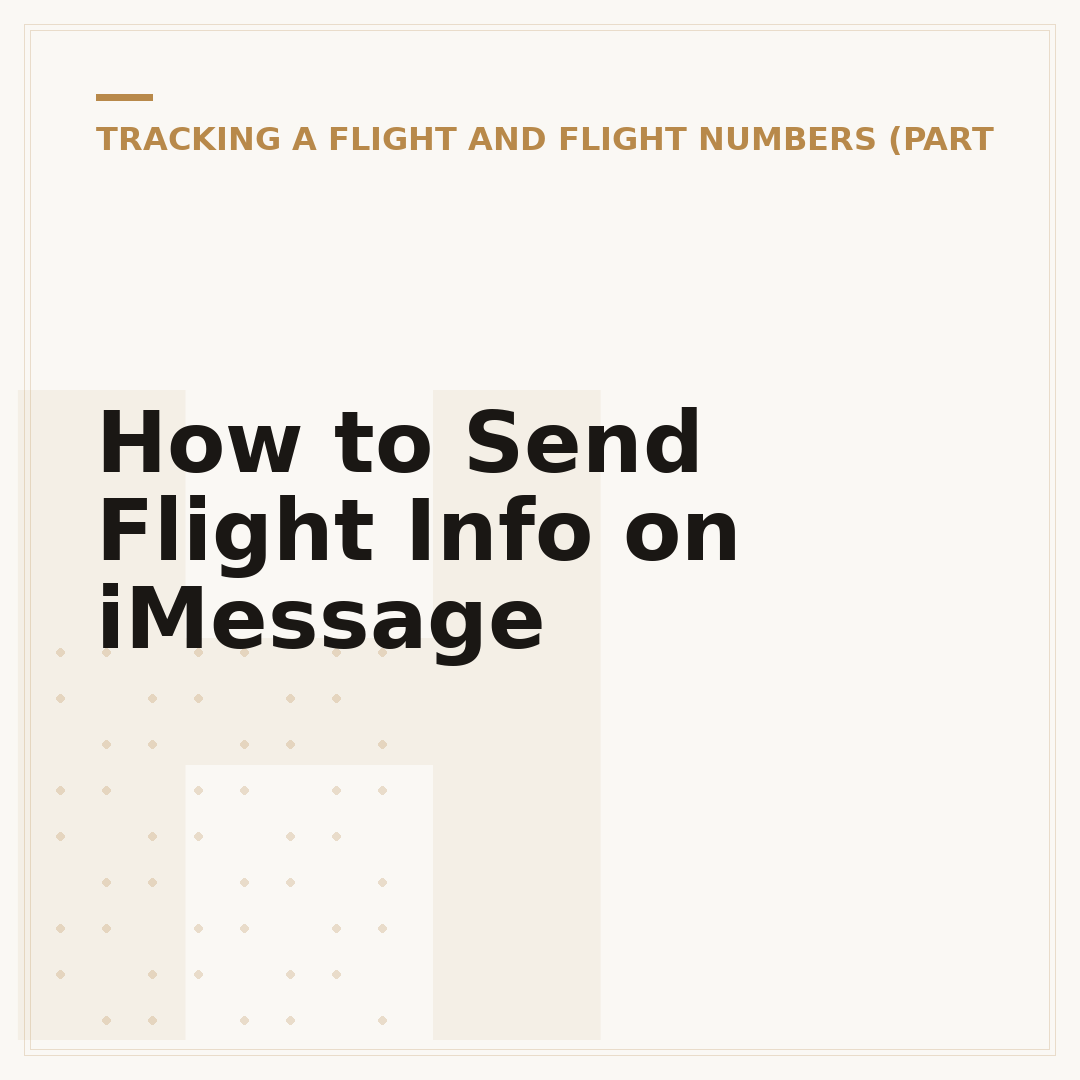 How to Send Flight Info on iMessage