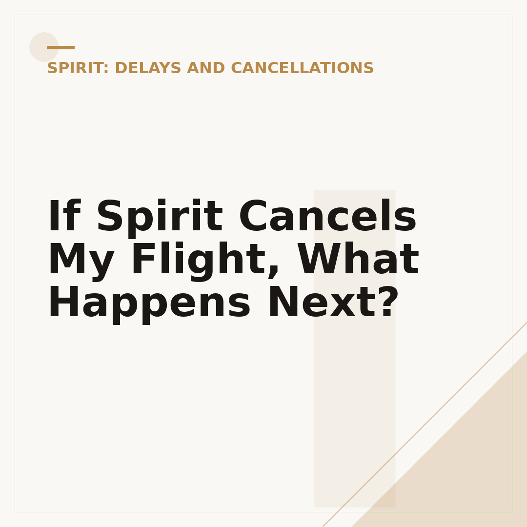 If Spirit Cancels My Flight, What Happens Next?