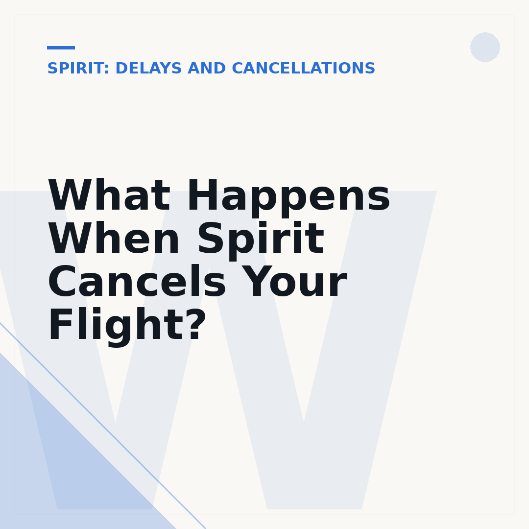What Happens When Spirit Cancels Your Flight?