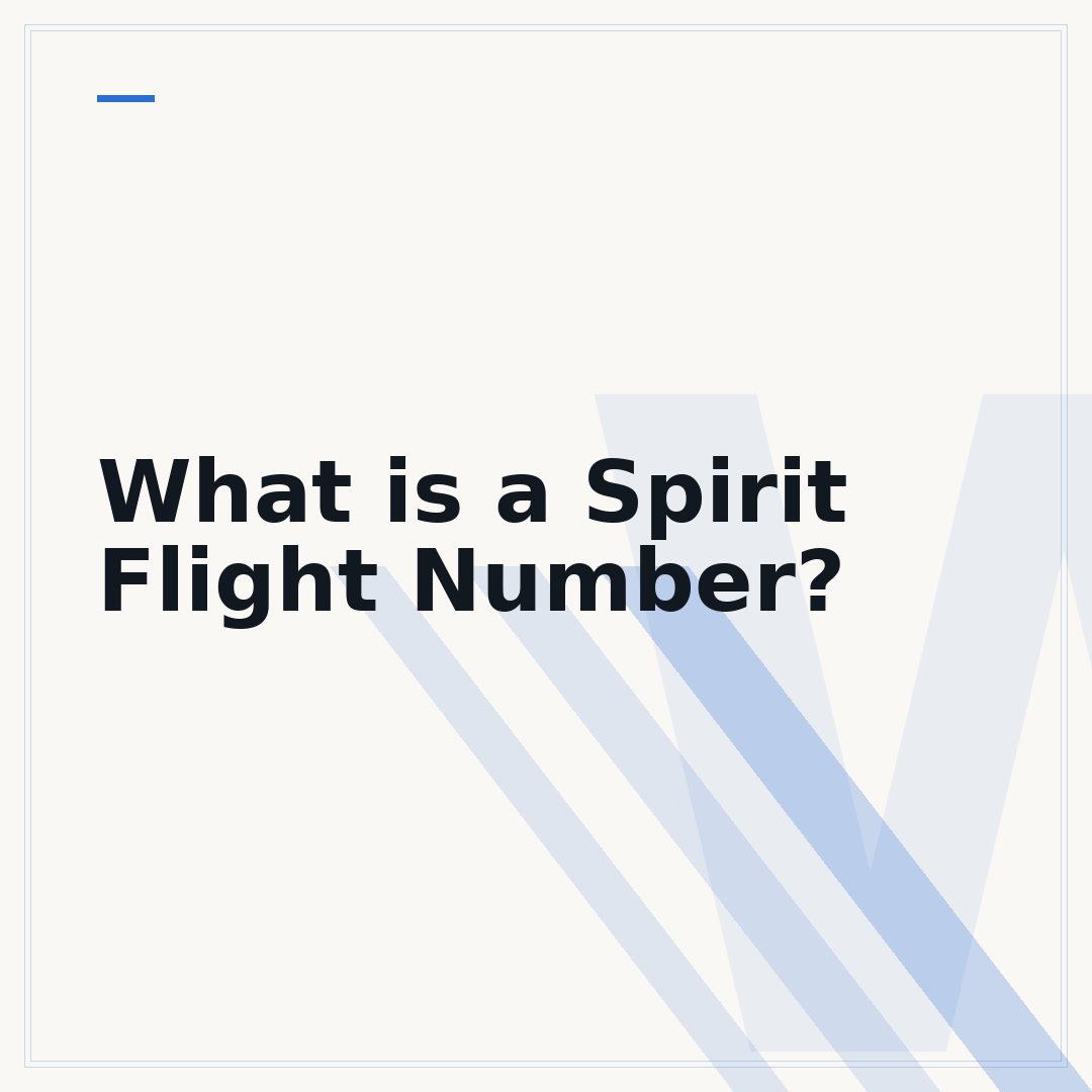 What is a Spirit Flight Number?