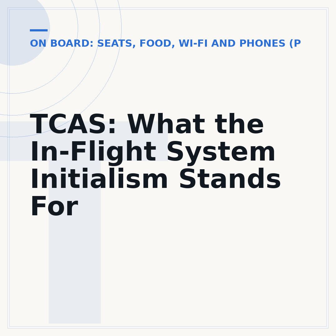TCAS: What the In-Flight System Initialism Stands For