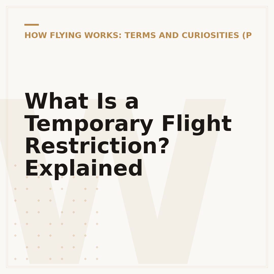 What Is a Temporary Flight Restriction? Explained