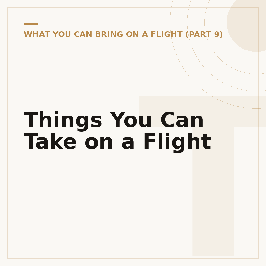Things You Can Take on a Flight