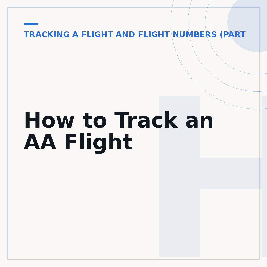 How to Track an AA Flight