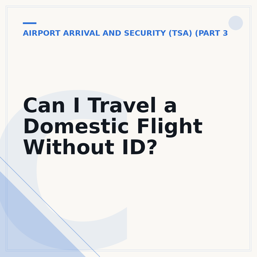 Can I Travel a Domestic Flight Without ID?