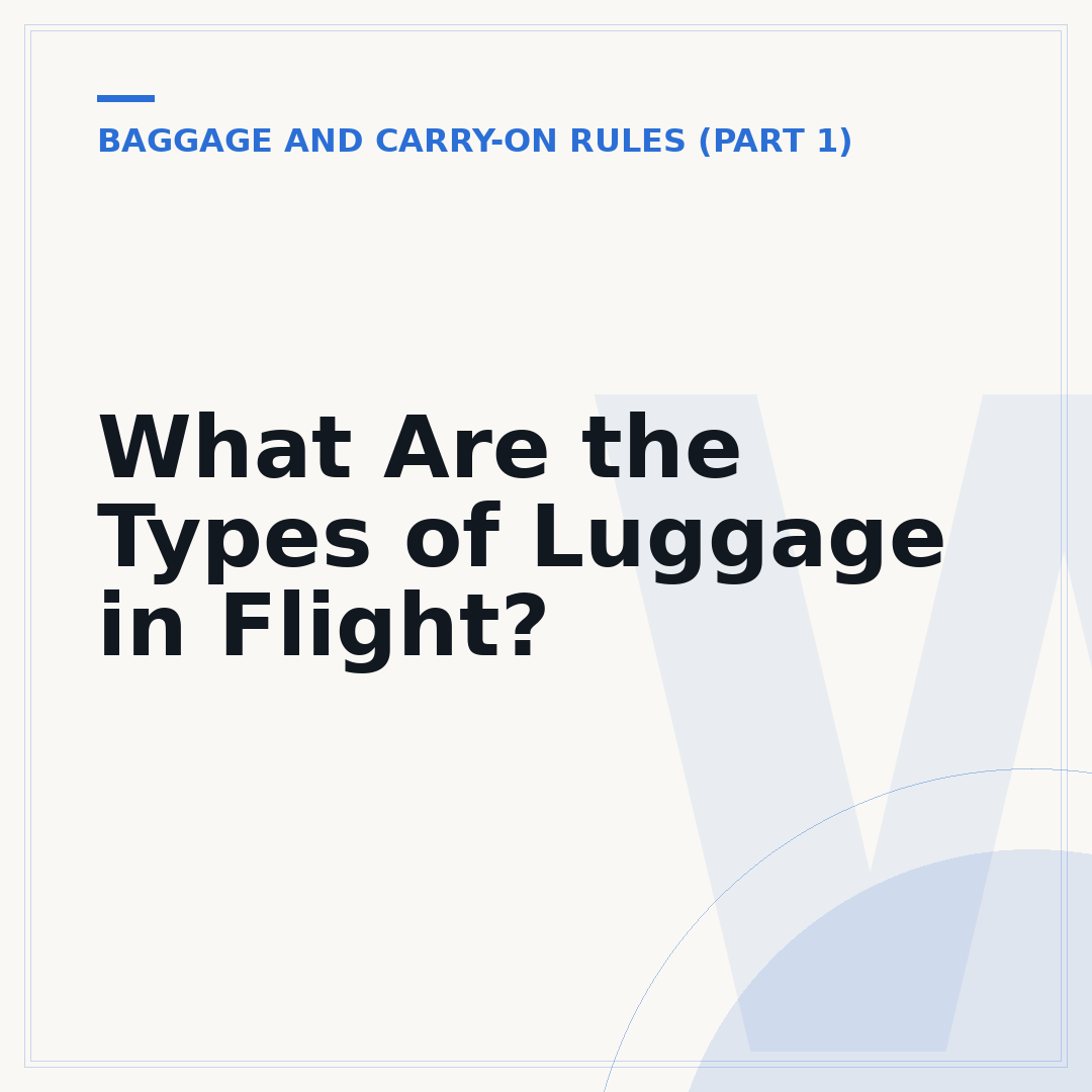 What Are the Types of Luggage in Flight?