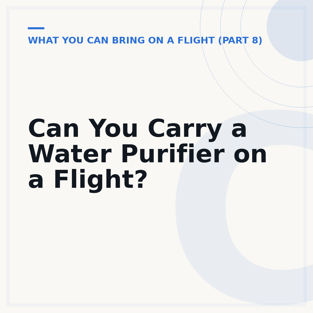 Can You Carry a Water Purifier on a Flight?