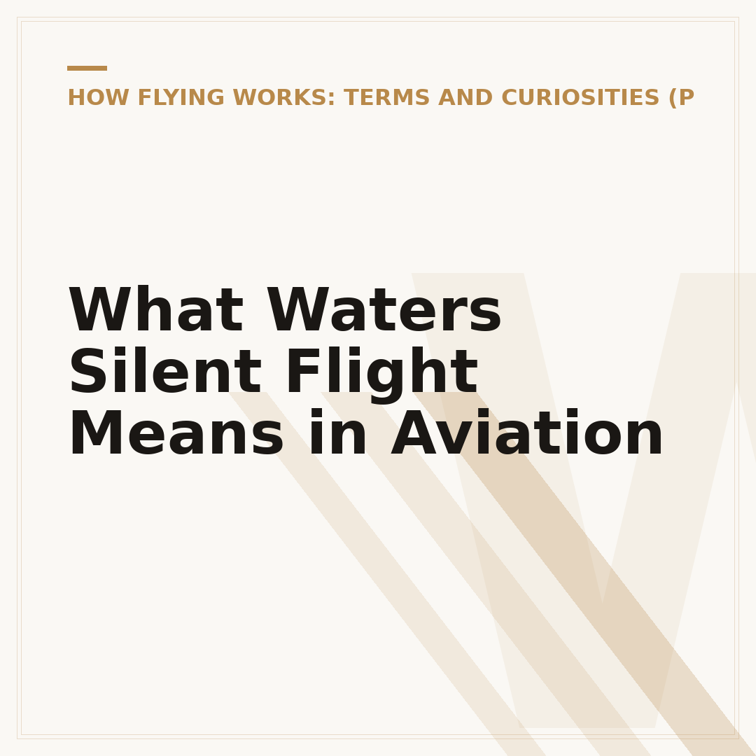 What Waters Silent Flight Means in Aviation