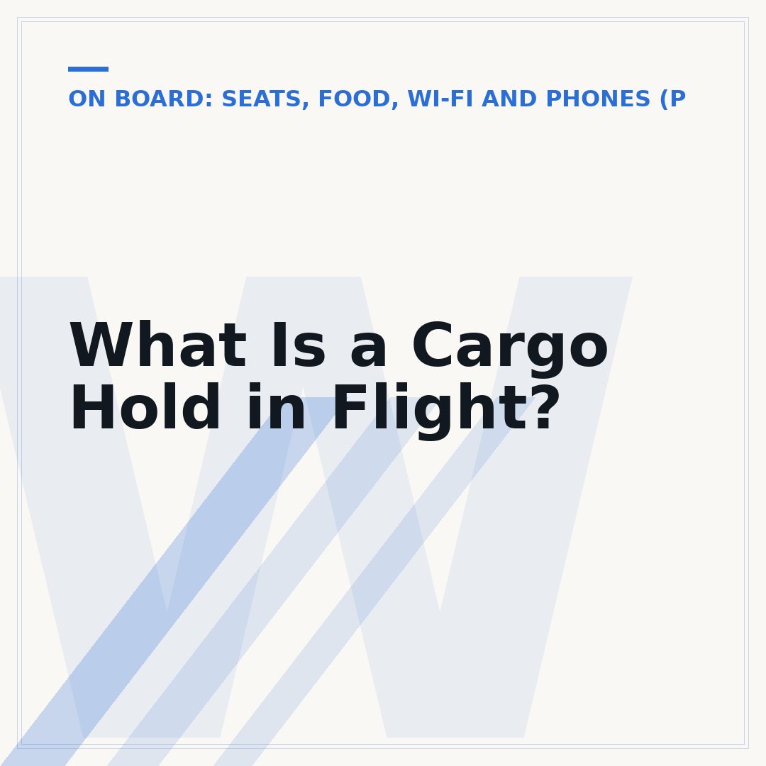 What Is a Cargo Hold in Flight?