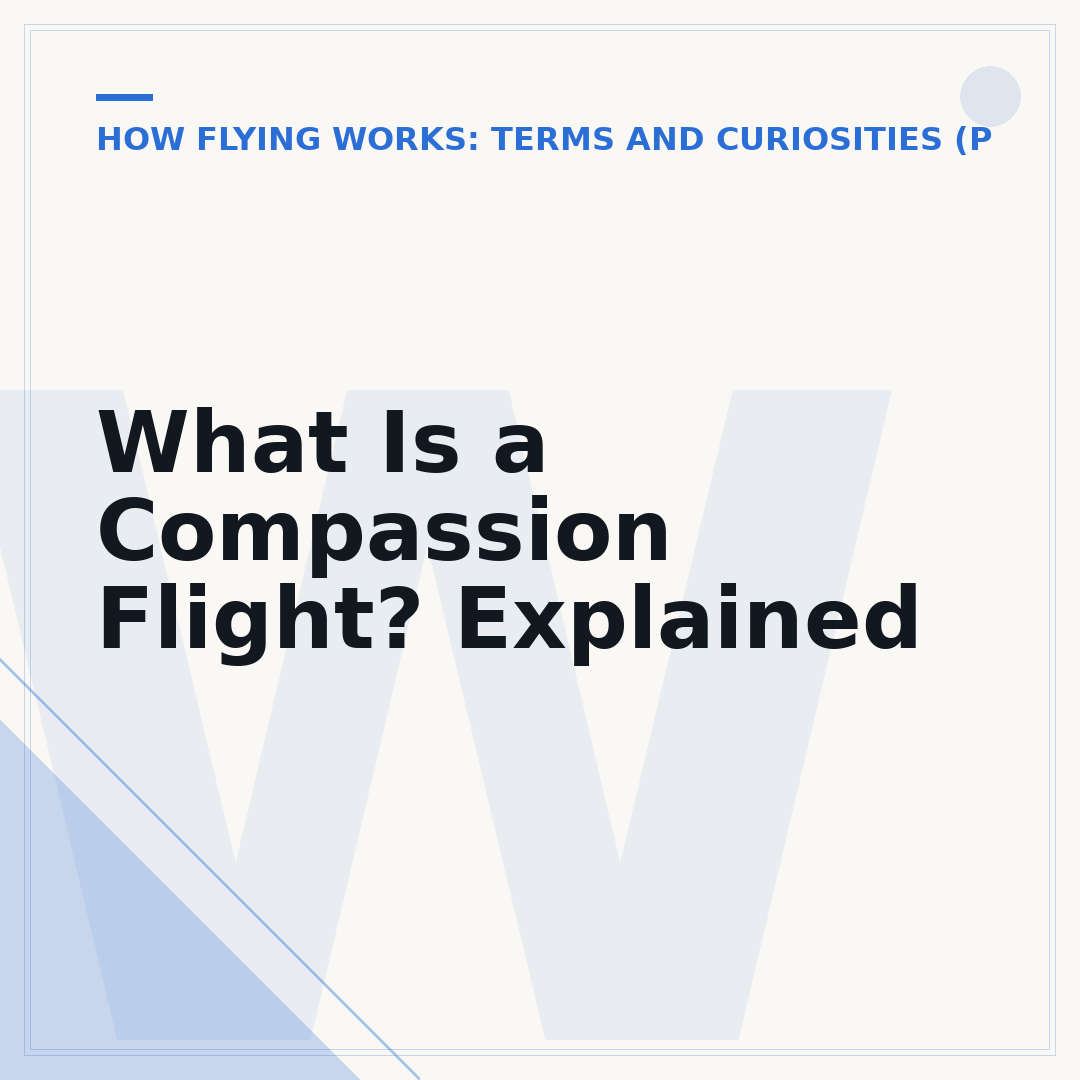 What Is a Compassion Flight? Explained
