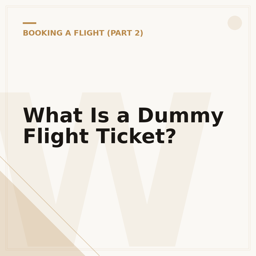 What Is a Dummy Flight Ticket?