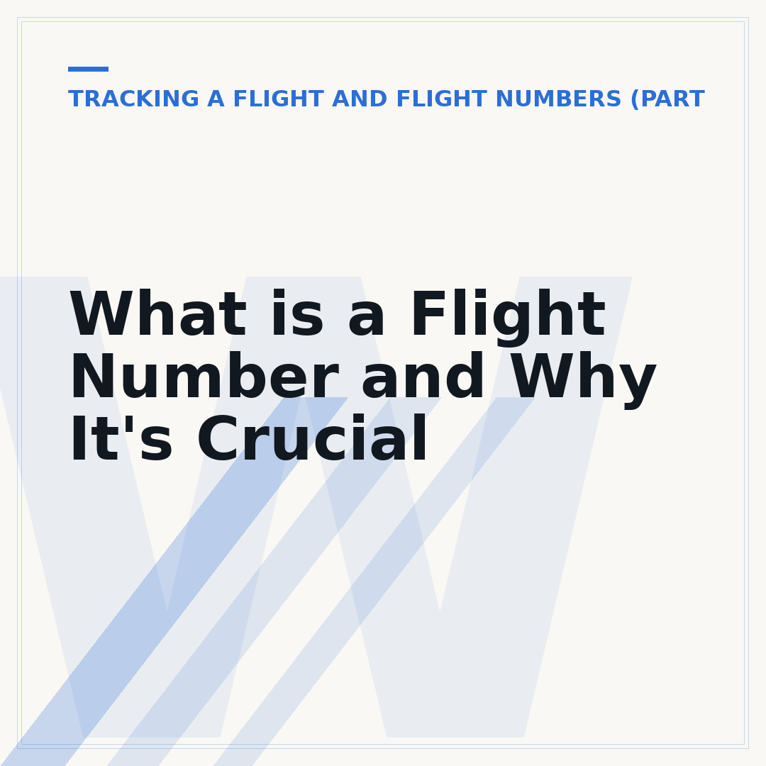 What is a Flight Number and Why It's Crucial