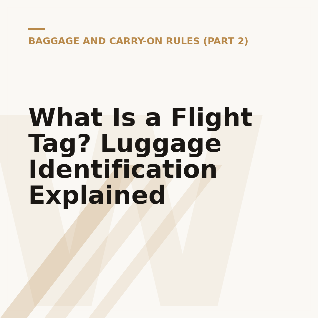 What Is a Flight Tag? Luggage Identification Explained