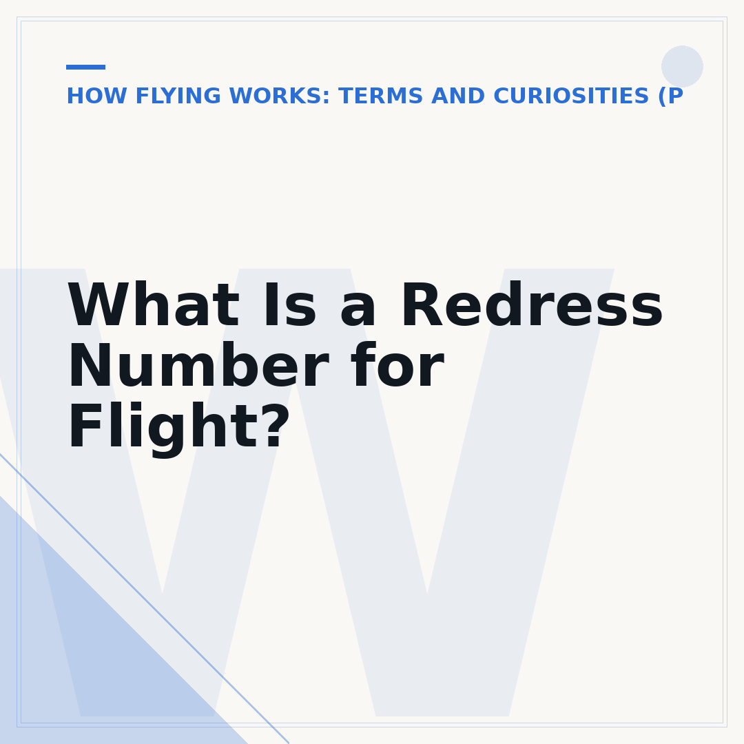What Is a Redress Number for Flight?