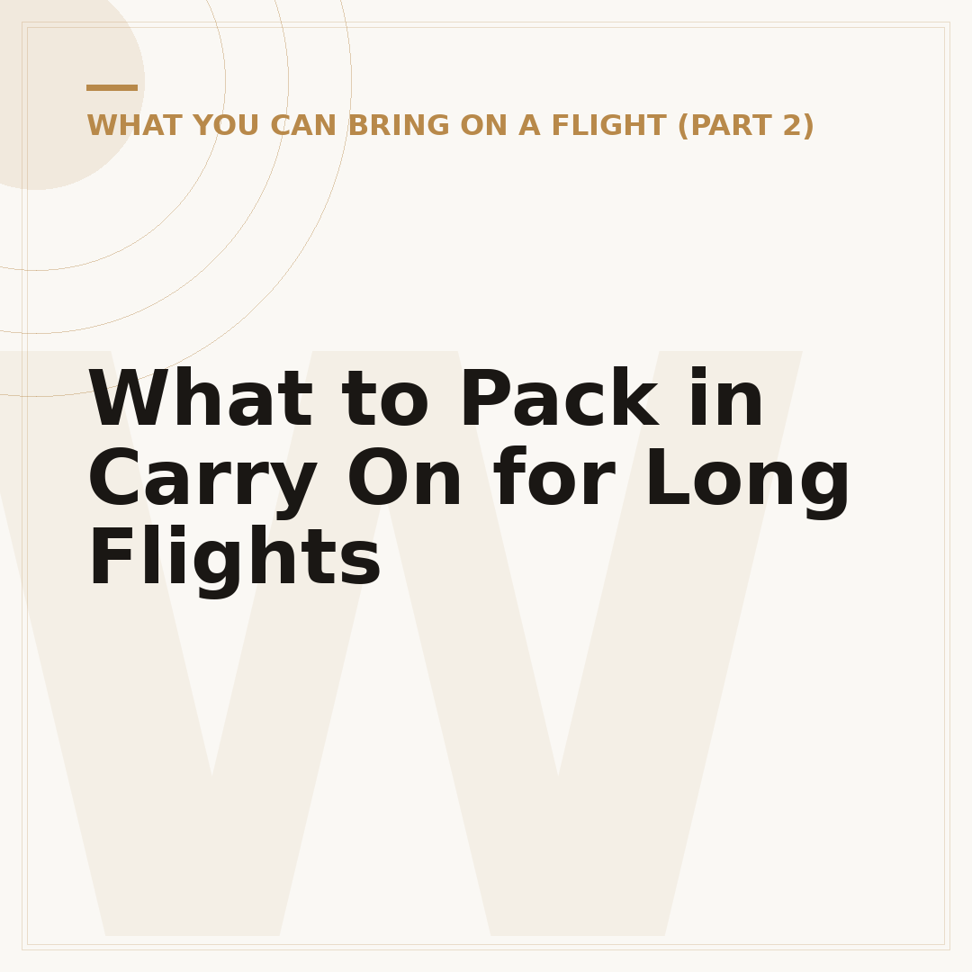 What to Pack in Carry On for Long Flights