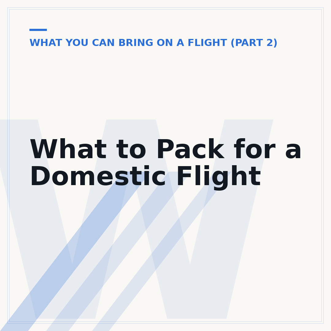 What to Pack for a Domestic Flight